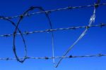 Barbed wire fencing